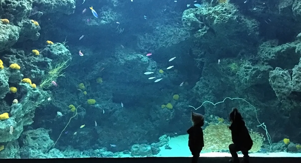 環境水族館アクアマリンふくしま